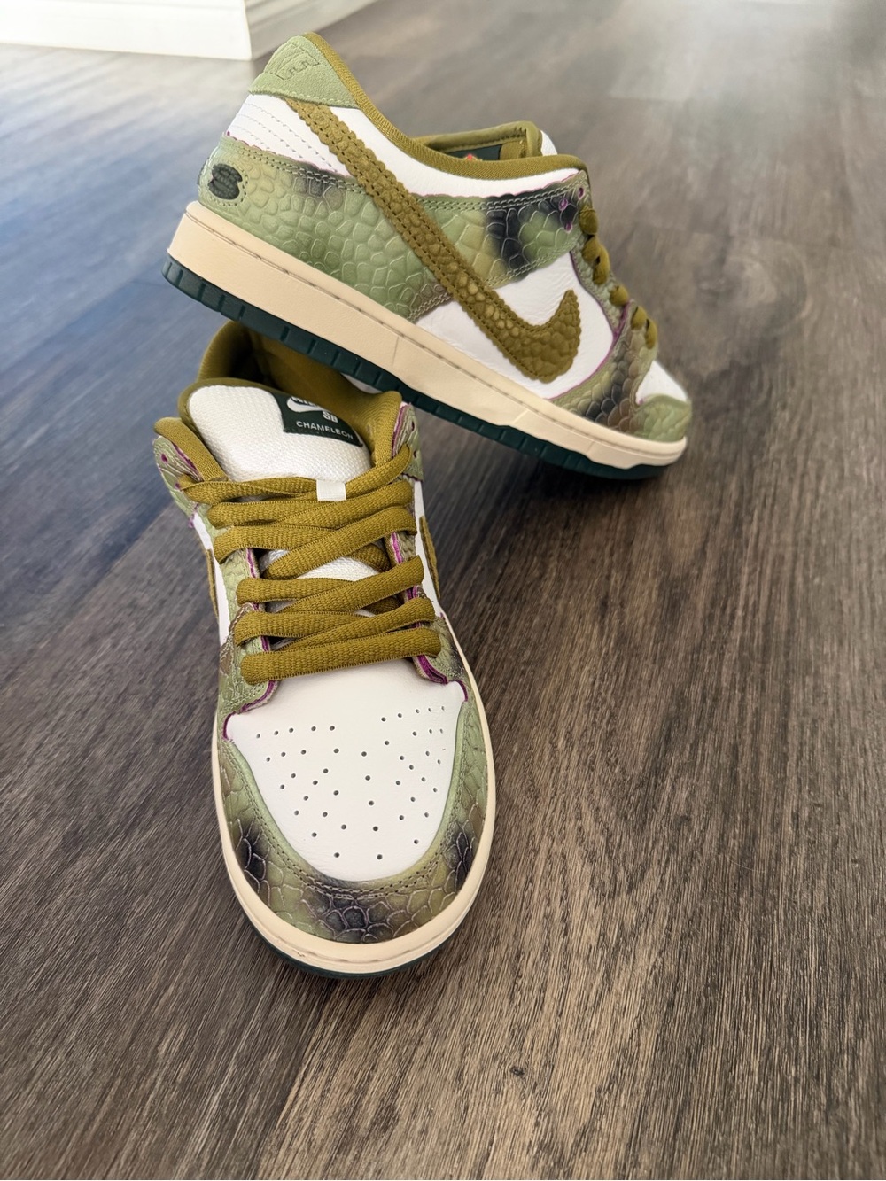 Nike SB Dunks - Chameleon